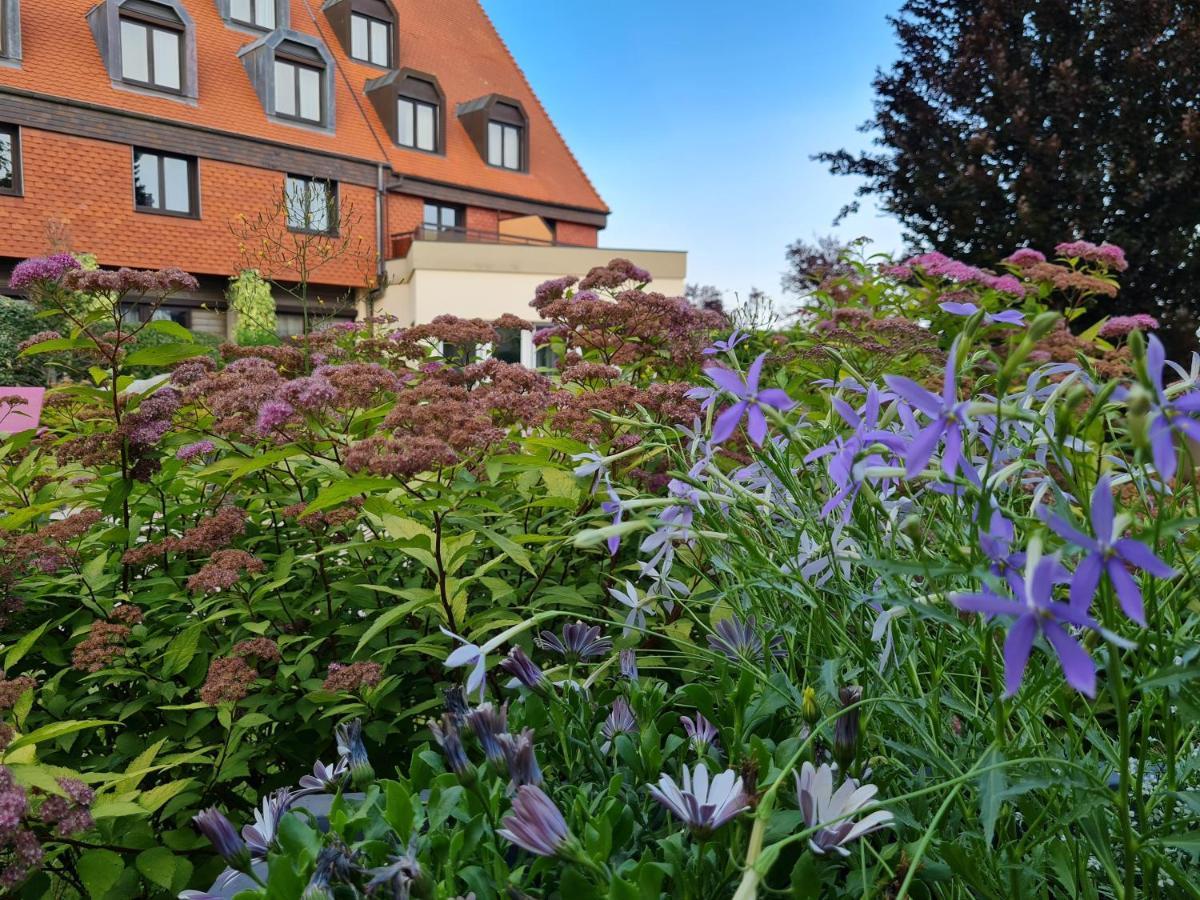 Hotel L'Europe Horbourg-Wihr Bagian luar foto
