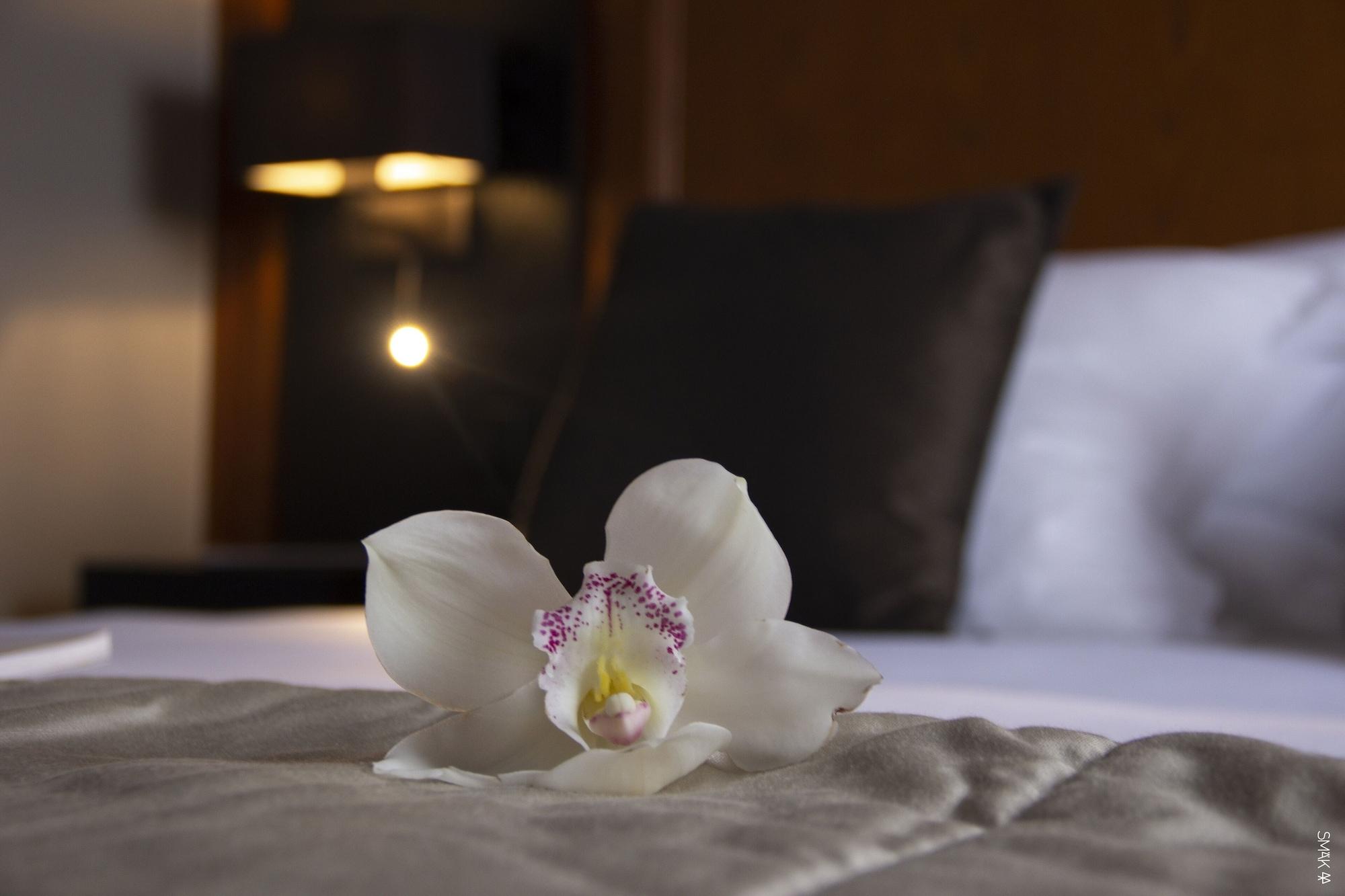 Hotel L'Europe Horbourg-Wihr Bagian luar foto